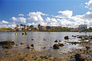 Mariscando na R&iacute;a do Burgo / Flickr: moitollo