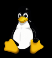 O Linux poder&iacute;a distribu&iacute;rse nos Dell