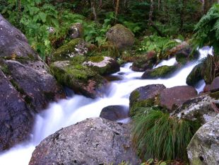 A &aacute;rea da Fervenza, que os veci&ntilde;os queren evitar que se estrague coa minicentral / Imaxe: Xos&eacute; Chao (Adega)