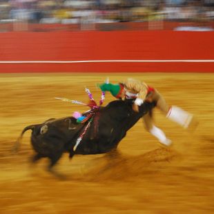 Un forcado portugu&eacute;s topando de cheo co touro / Flickr: lightbrigade/