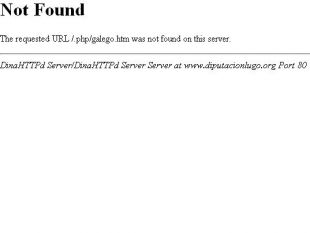 A versi&oacute;n en galego da web nunca existiu nos seus sete anos de vida (clique para ampliar)