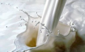 O principal obxectivo &eacute; a comercializaci&oacute;n de produtos con valor engadido