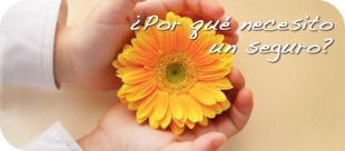 Imaxe da cabeceira da p&aacute;xina de Unespa