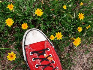 O D&iacute;a Mundial do Medio, para funka, no seu Flickr