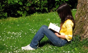 O plan aspira a mellorar os &iacute;ndices de lectura