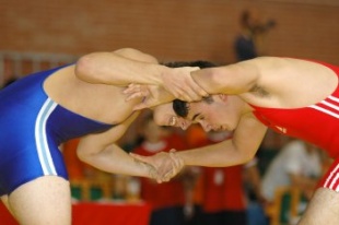 A selecci&oacute;n levou unha medalla de prata e outra de bronce