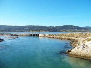 A s&uacute;a comporta / Flickr: jacob_ames