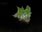 Sherwood, a trav&eacute;s do tronco vello dun carballo / Flickr: purefinder