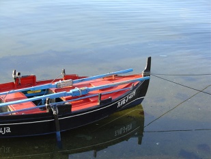 Unha dorna matriculada en Vilagarc&iacute;a, co 'Vil' no canto do 'Vill' / Flickr: Alfredo Est&eacute;vez