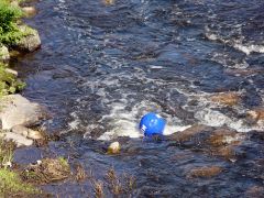 Unha imaxe do Barba&ntilde;a / Flickr: Brocco Lee