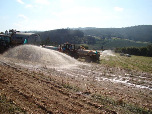 Os gandeiros do SLG s&uacute;manse &aacute; folga europea