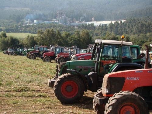 Os gandeiros do SLG s&uacute;manse &aacute; folga europea