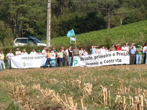 Os gandeiros do SLG s&uacute;manse &aacute; folga europea