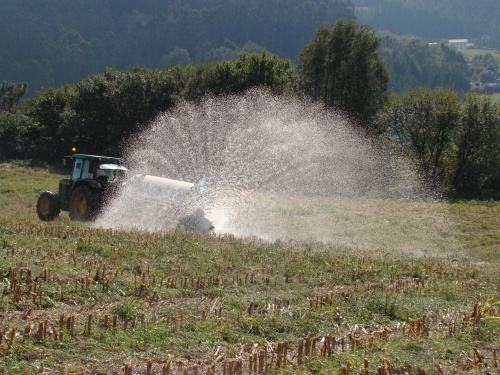 Os gandeiros do SLG s&uacute;manse &aacute; folga europea