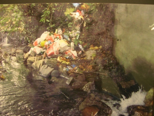 3&ordm; Premio: REGATO ZAPARDIEL, de Adri&aacute;n Casanova Chiclana