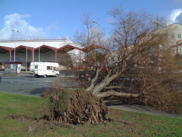 Outra imaxe fronte &aacute; feira de mostras